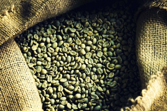 MyCocktail: Zöld Kávé kivonat népszerű a fogyókúrázók körében